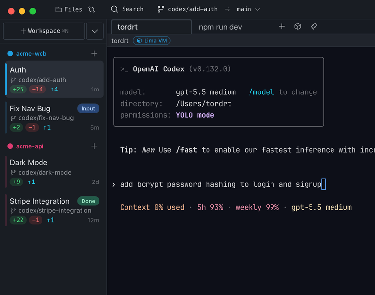 Baton workspace overview with project sidebar and workspace cards